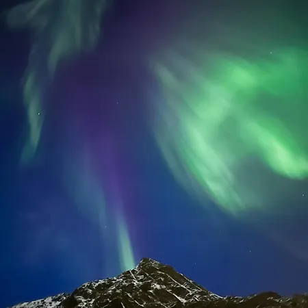 Arctic Lofoten Appartement