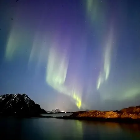 Arctic Lofoten Appartement