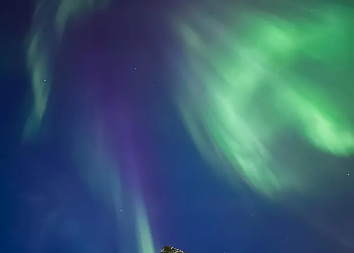 Arctic Lofoten Lejlighed