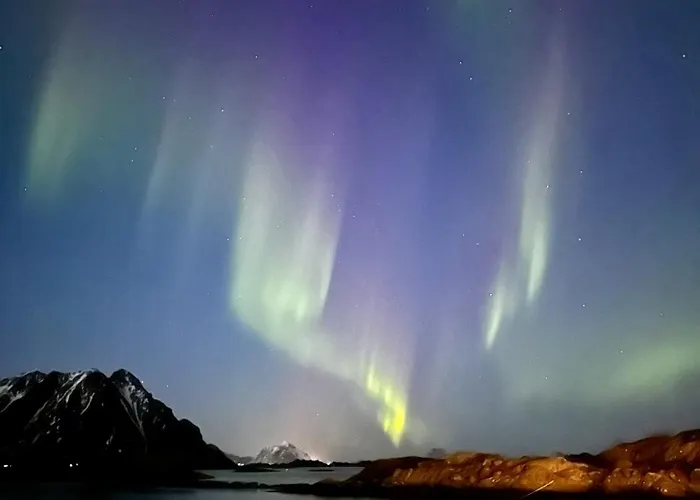 Arctic Lofoten Lejlighed